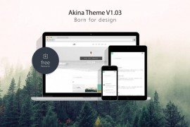 极简主题Akina WordPress主题