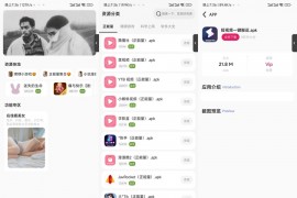iApp v6软件库+后端源码 超好看功能多iApp源码