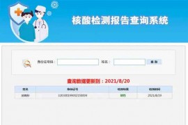 全民核酸检测源码下载-核酸检测报告查询系统Asp源码 带搭建教程