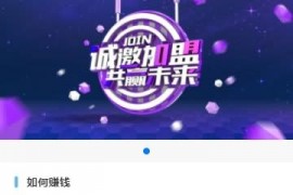 「亲测」2020最新二开骑士贷金融贷款超市源码 对接派特免签支付+三级分销+文字/视频教程