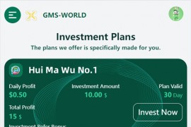 海外数字理财共享投资理财/英文投资理财源码