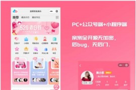 2024版红娘金媒10.3婚恋相亲系统源码小程序