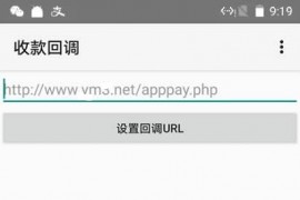 「亲测」APPPAY码支付源码-个人免签支付系统微信支付源码 带监控App