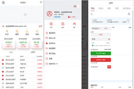 全开源交易所系统/币币期权交易/合约/跟单/盈亏设置等功能