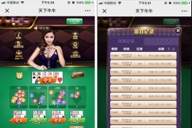 天下牛牛完整运营版 H5百人牛牛棋牌源码 界面清新 控制类似H5龙虎