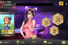 大亨十三水+浙友十三水完美运营版 俱乐部+积分模式+买马模式+带胜率控制