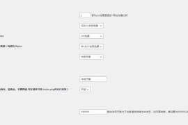 RiPro资源文章转换成RiPlus资源文章插件 WordPress资源转换插件