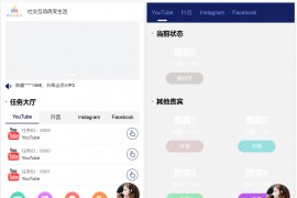 tiktok国际版刷单 海外YouTube视频点赞投资理财源码 刷单悬赏任务海外视频平台