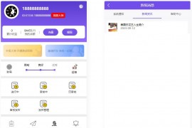 修复版 悬赏算命测算源码 修复补了点后台CSS和JS文件