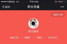 Discuz西瓜积分在线充值插件19.20170323(xigua_c)商业版