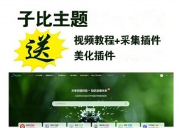 网创教程自动采集wordpress插件子比主题