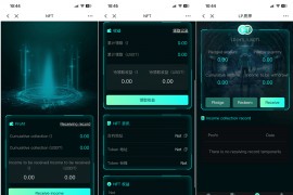中英双语言BSC币安链dapp类nft-usdt理财源码