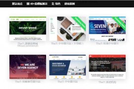 WordPress主题The7 v9.5.2.2最新汉化版下载–WP企业外贸商城网站模板+全套插件
