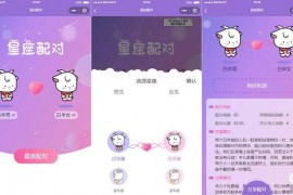 微信趣味小程序源码 恋爱配对微信小程序源码 星座男女配对微信小程序源码