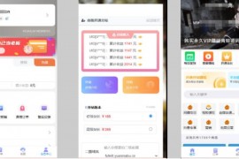 全新H5充值系统源码 自定义首页+充值页面 灵活对接上游渠道接口