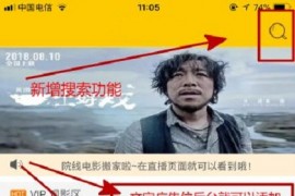 新版影视网站前后双端源码下载 完美运营版