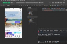 网址打包微信小程序源码 wap转微信小程序 网站转小程序源码 网址转小程序开发