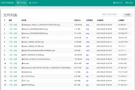 彩虹外链网盘V5.5更新 修复部分云存储下载中文名乱码