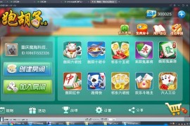 跑胡子合集视频教程