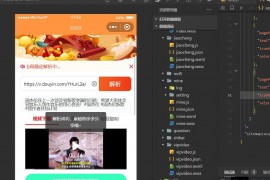 最新版本的橙色前端微信去水印小程序源码