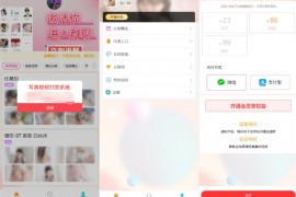 2025写真图片视频打赏系统源码 打赏平台搭建  完整可用 附教程