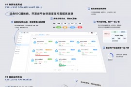派小星DNS二级域名分发V2.0重构版 代码重构，性能升级