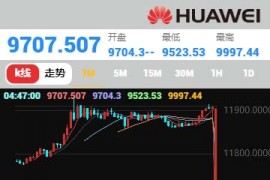 「亲测」2020最新二开华为5G微盘系统源码 K线正常+走势+独家教程