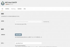 「亲测」WordPress插件邮件发送设置WP Mail SMTP Pro汉化版v3.2.1