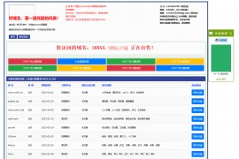 【亲测】勇帅米表系统_域名展示出售系统 PC+H5双端自适应页面
