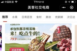 仿美客社交电商营销小程序 限时抢购系统、微信小程序前端+后端