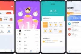 完整运营版任务悬赏系统/众人帮任务平台/VUE源码/支持对接AP