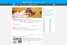 「亲测」WordPress源码网源码整站打包下载 附带1200+数据和搭建教程