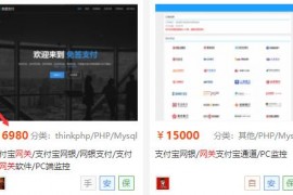 2020最新免签支付源码-网银支付/支付宝网关软件/PC端监控源码