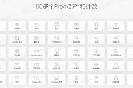 WordPress可视化编辑器插件Elementor Pro v2.8.4汉化版