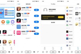 DD应用系统软件库网站源码