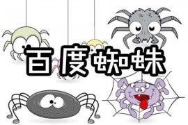 汇码屋汇总百度蜘蛛IP段归类：区分优质蜘蛛和垃圾蜘蛛