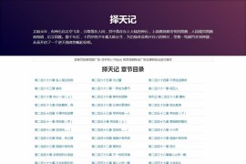 织梦单本小说网站新闻博客网站模板