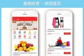 购物拼团小程序拼团商城商业源码下载
