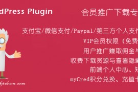 「亲测」Erphpdown插件v11.3版下载-WP收费下载资源插件专业版插件